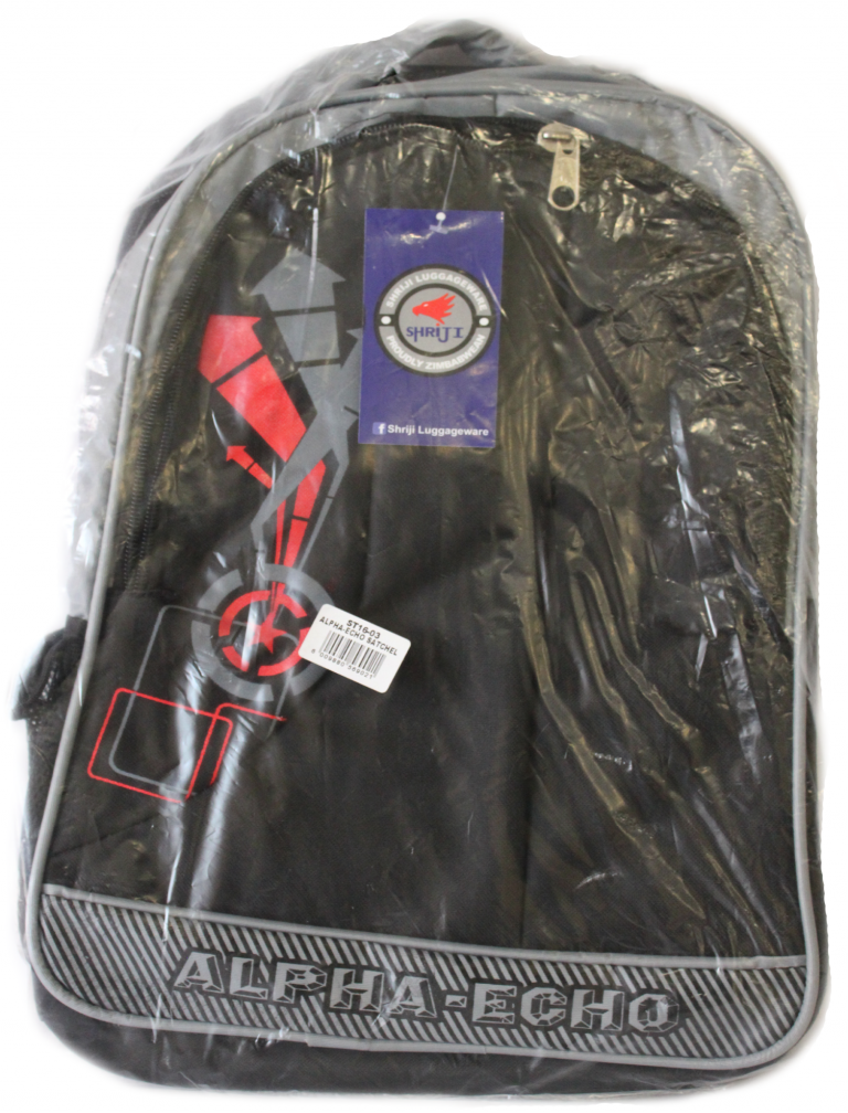 Alpha Echo Satchel