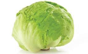 Lettuce Head